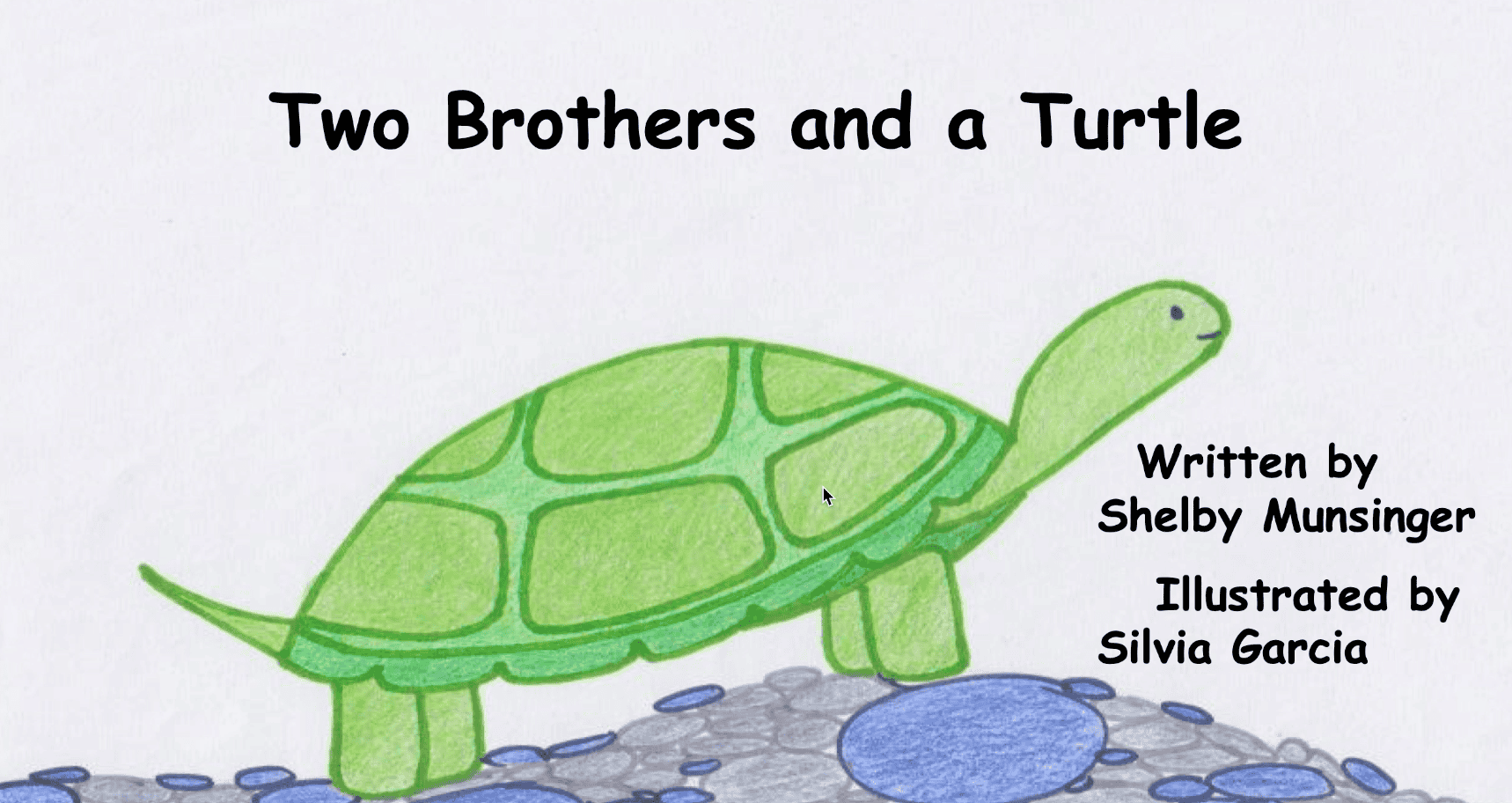 Two Brothers and a Turtle